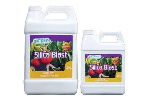 Silica Blast 732490 SILICA BLAST GALLON