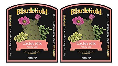 Sun GRO Horticulture 1410602.Q08P Black Gold Cactus Mix (1, 2-Pack)