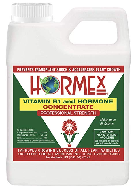 Hormex Vitamin B1 and Rooting Hormone Concentrate - Prevents Transplant Shock | Accelerates Growth | Stimulates Roots (16 oz)