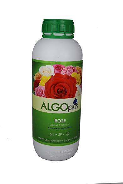 AlgoPlus Rose Liquid Fertilizer - 1 Liter