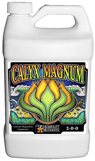 Calyx Magnum 1GAL