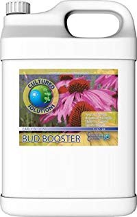 Cultured Solutions Bud Booster Early, 32 oz quart