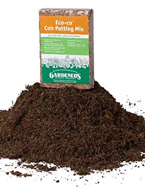 Organic Eco-co Coir Bricks, Pack of 12