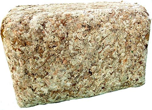 BestValueMoss Sphagnum Moss Substrate Dried, 100% Natural/Organic, 11 lbs Big Bale (5 KG, 5000 gram)