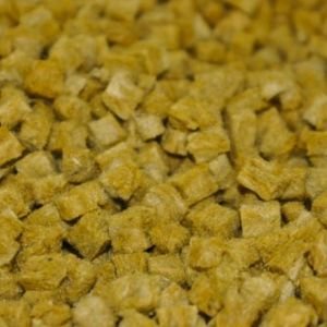 Growcube - Rockwool Mini Cubes 10 Gallons