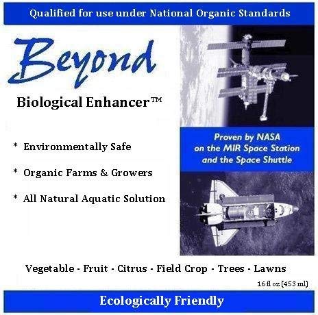 BEYOND all natural Plant Amendment 16 fl oz