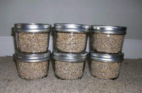 Brown Rice Flour&vermiculite Mushroom Substrate 12 Jars (1/4 Pint Jar) Mushroom Growing Kit