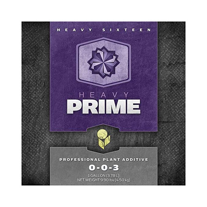 Heavy 16 Prime Con