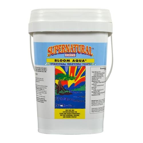 Supernatural Bloom Aqua, 1 Kilogram