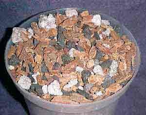 Special Orchid Bark Mix