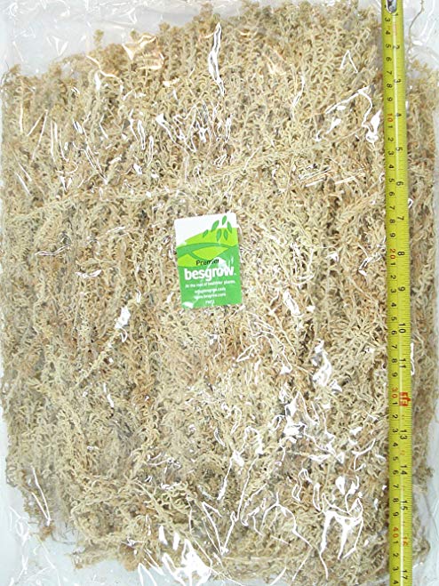 Spagmoss Premium Long Strand AAAA New Zealand Sphagnum Moss